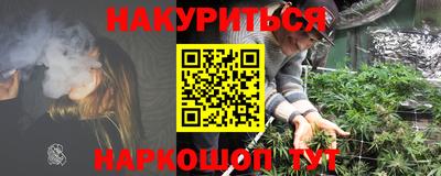 гашик Будённовск