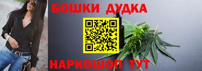 гашик Будённовск